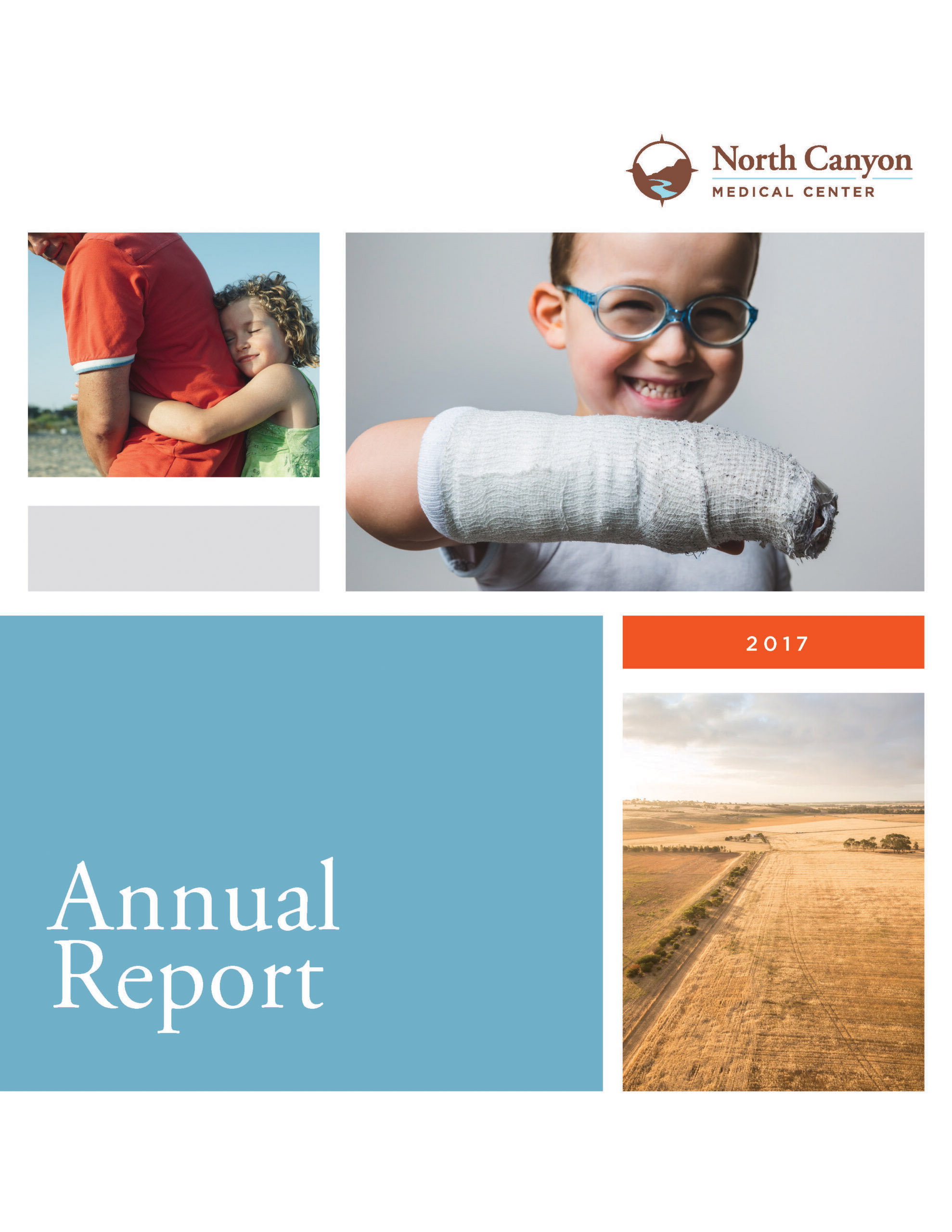 Featured image for “2017 Annual Report”