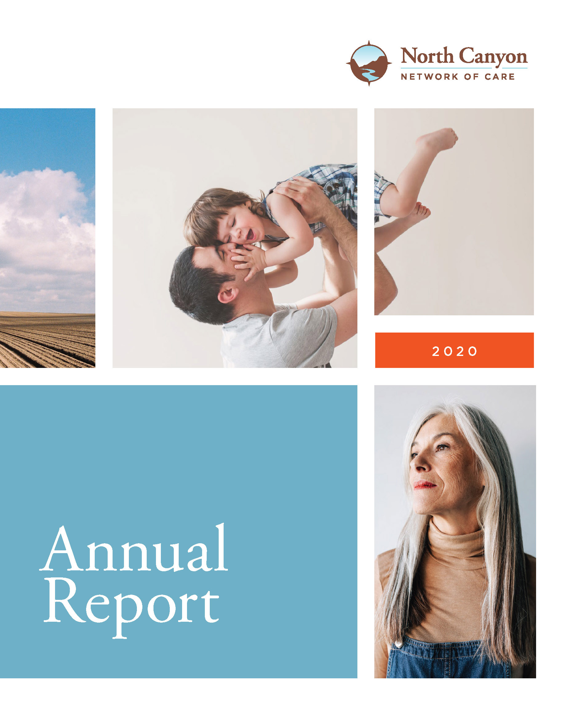 Featured image for “2020 Annual Report”